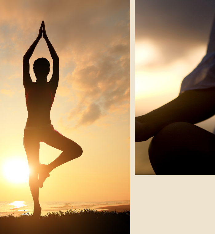 THE YOGA JOURNEY Home Page second image