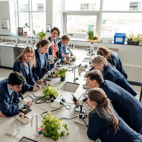 Childrens Yoga Engadine | The Yoga Journey School High Schools Children Learning