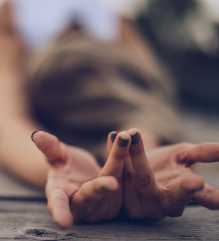 The Yoga Journey Meditation 1 The Yoga Journey Meditation 1